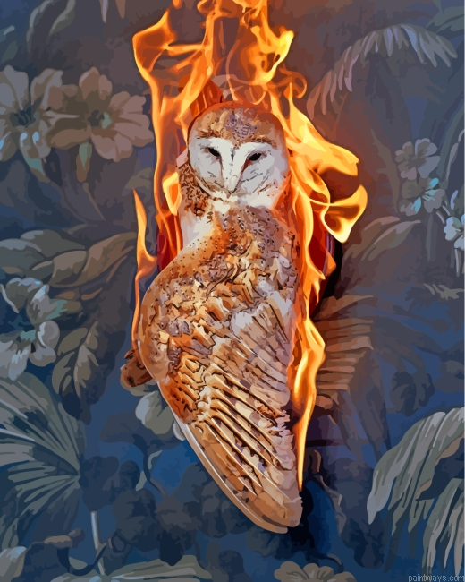 Fire Owl Bird Painting By Numberss.png
