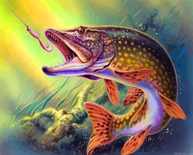 Fish Underwater Painting By Numbers.png