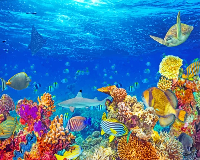 Fishes Under Sea Painting By Numberss.png