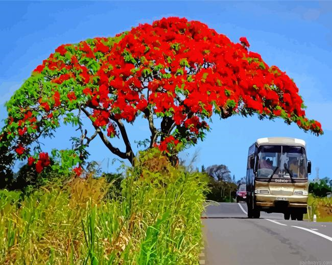 Flamboyant Tree Painting By Numberss.png