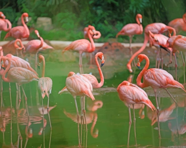 Flamingo Flock Animals Painting By Numberss.png