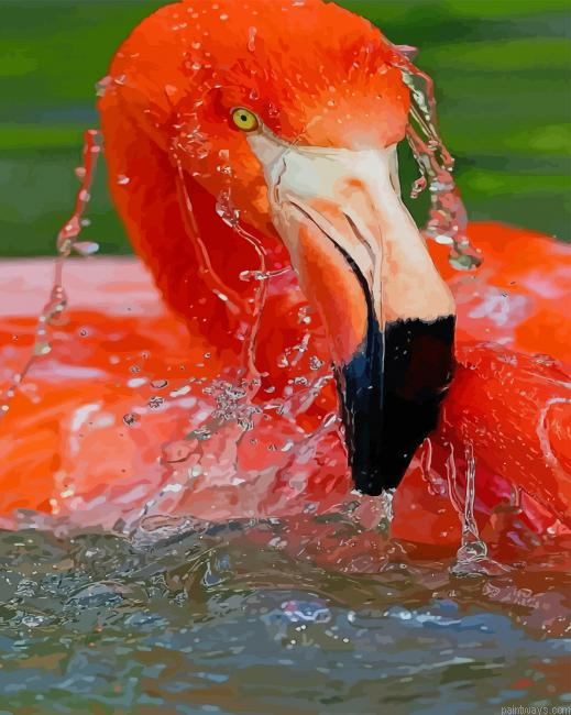 Flamingo In Water New Painting By Numberss.png