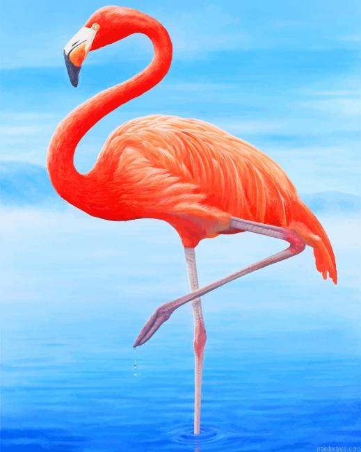 Flamingo New Painting By Numberss.png