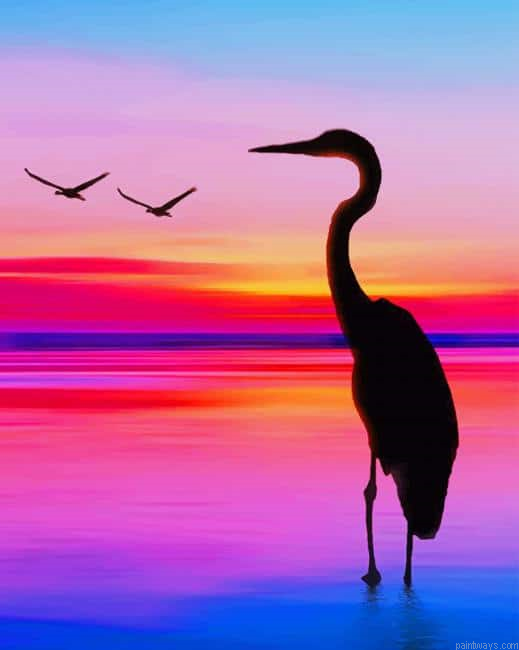 Flamingo Silhouette New Painting By Numberss.png
