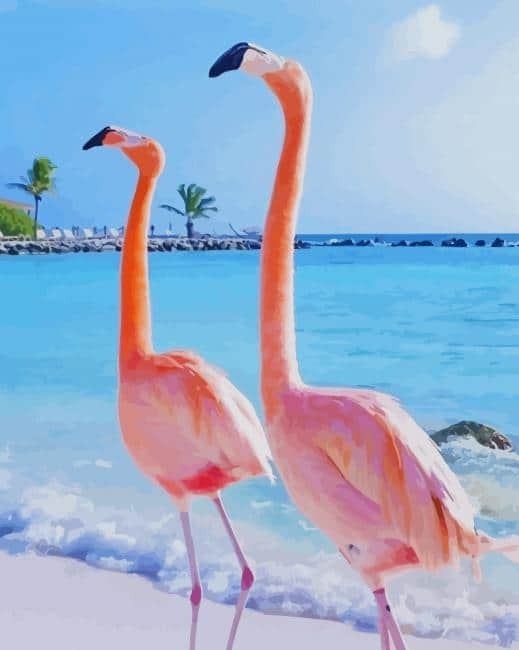 Flamingos In Aruba New Painting By Numberss.png