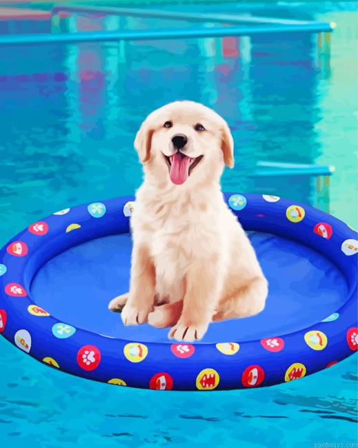 Floating Adorable Dog Painting By Numberss.png
