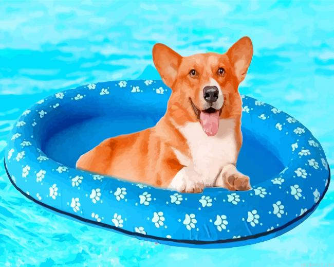 Floating Dog In Pool Painting By Numberss.png