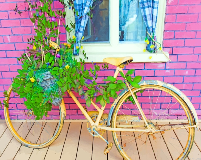 Floral Bike Painting By Numberss.png