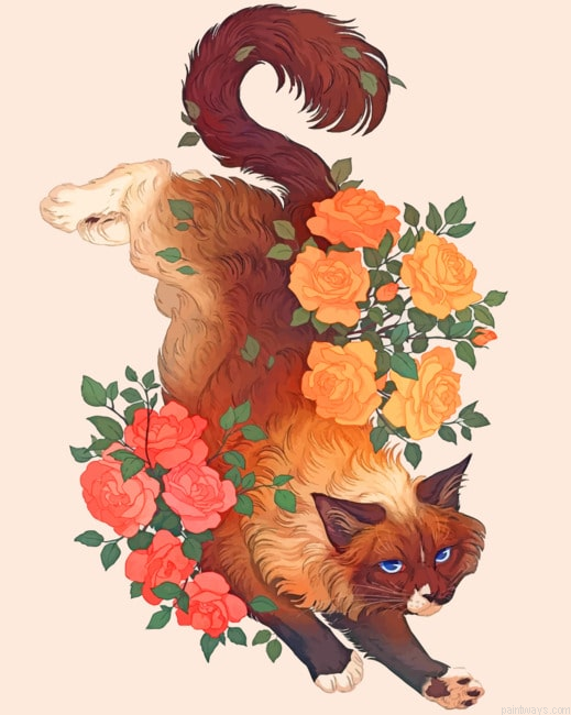 Flowers Cat Animals Painting By Numberss.png