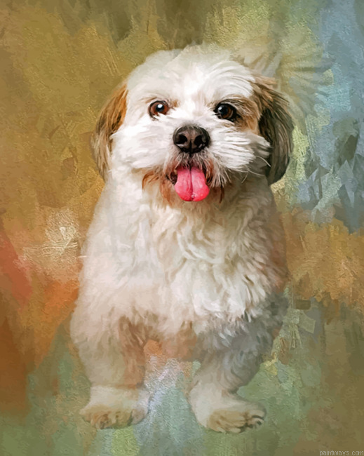 Fluffy Shih Tzu Painting By Numbers.png
