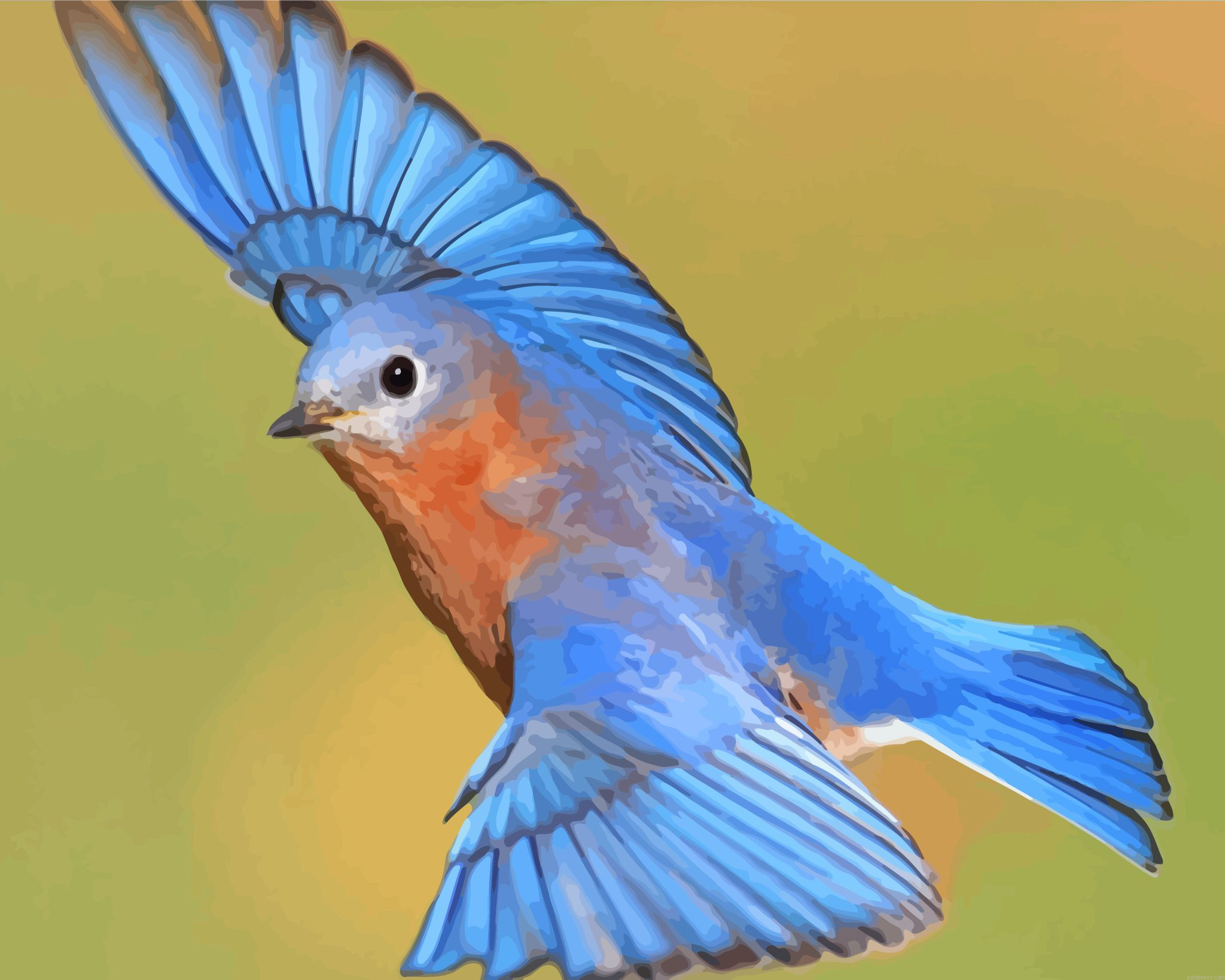 Flying Bluebird Painting By Numberss.png