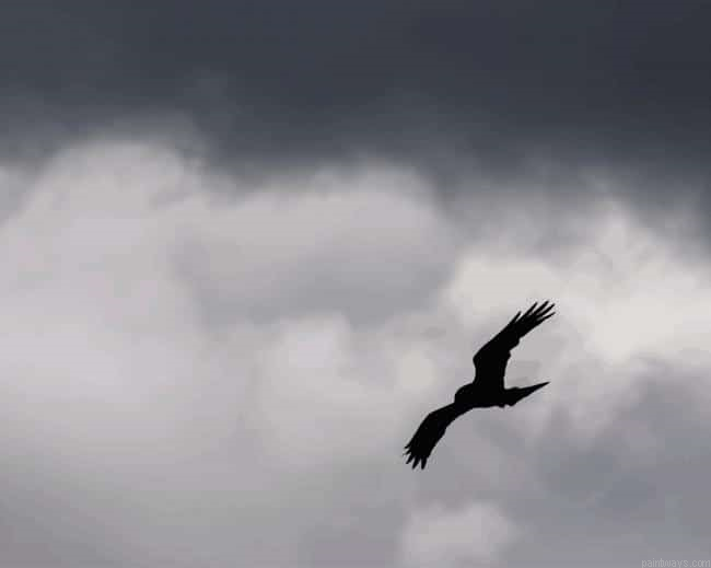Flying Buzzard New Painting By Numberss.png