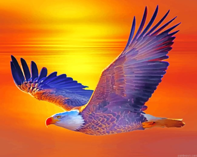 Flying Eagle Birds Painting By Numberss.png