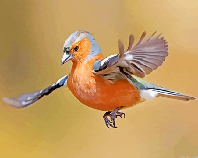Flying Finch Painting By Numberss.png