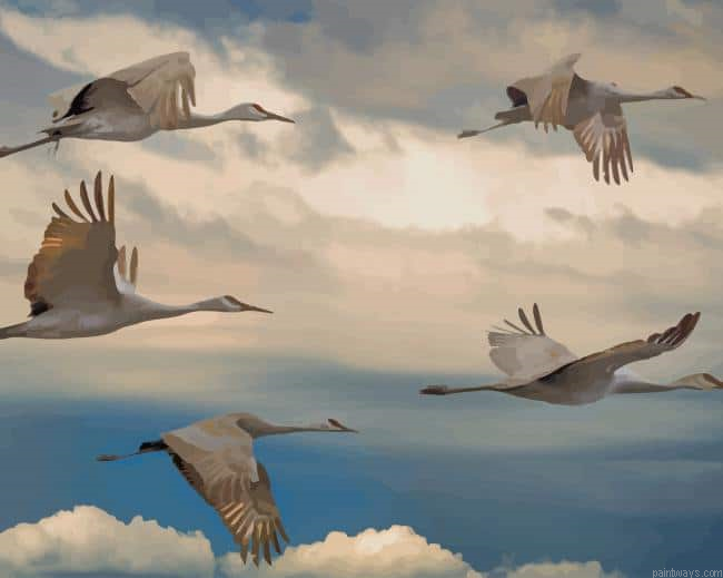 Flying Flocks New Painting By Numberss.png