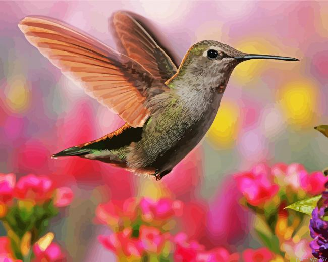 Flying Hummingbirds Painting By Numberss.png