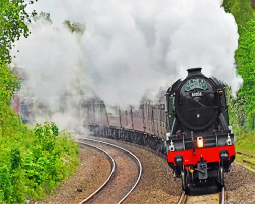 Flying Scotsman Painting By Numbers.png