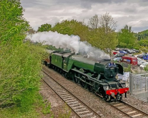 Flying Scotsman Train Painting By Numbers.png