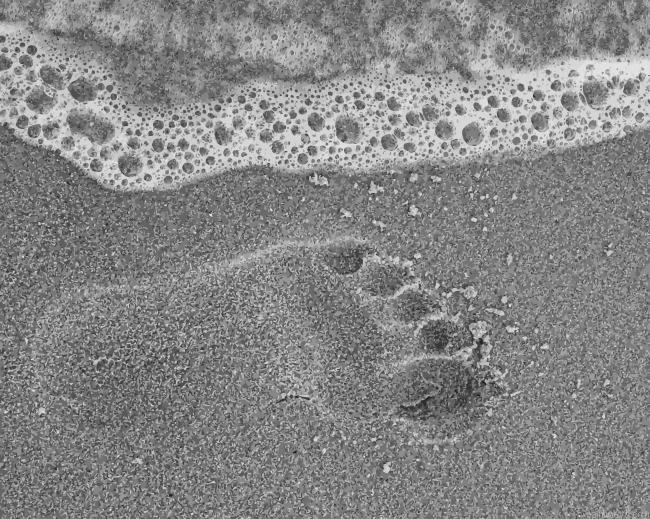 Foot Print New Painting By Numberss.png