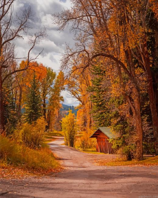 Forest In Autumn New Painting By Numberss.png