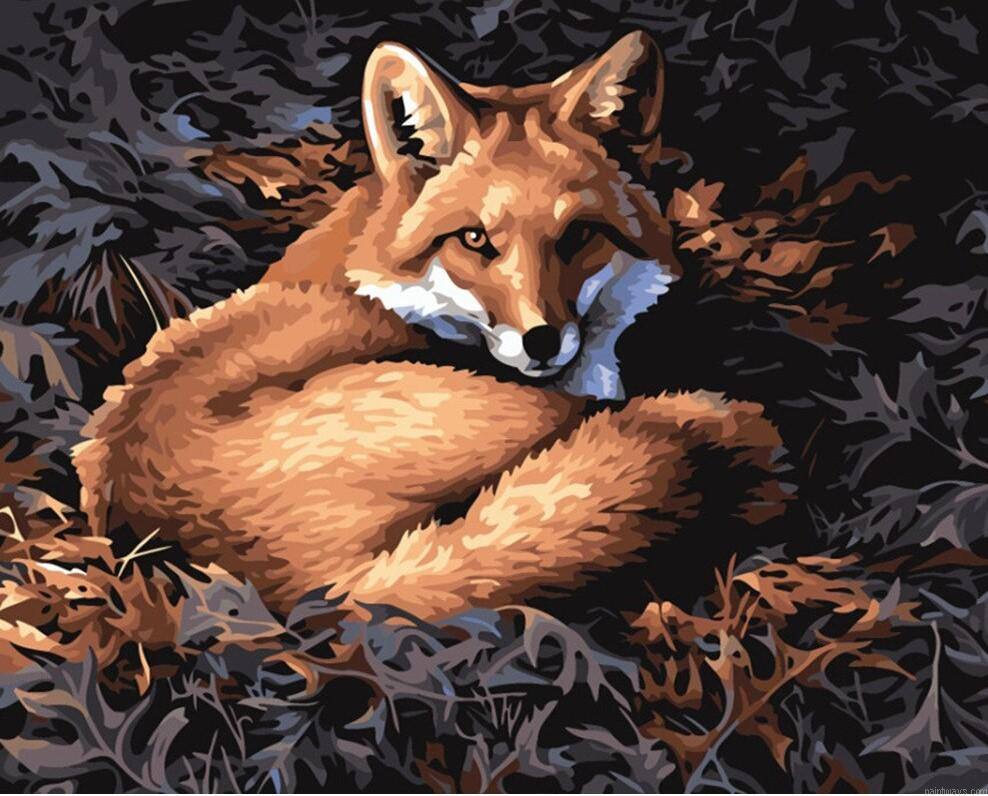 Fox Animals Diy Painting By Numberss.png