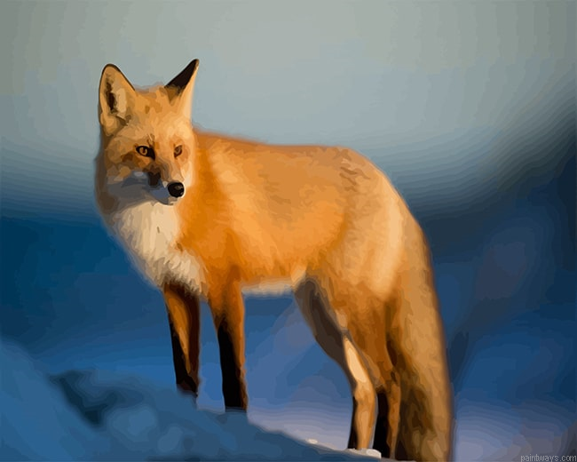 Fox In Snow New Painting By Numberss.png
