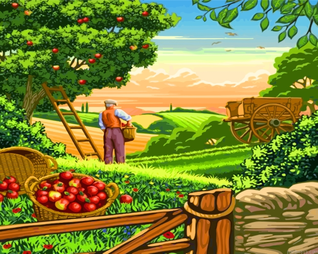 Framer Grandpa Painting By Numbers.png