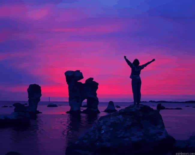 Freedom Over Sunset New Painting By Numberss.png