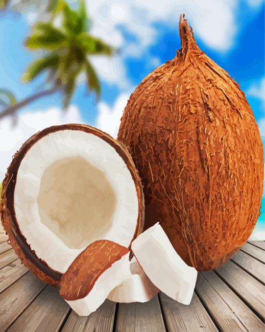 Fresh Coconut Painting By Numberss.png