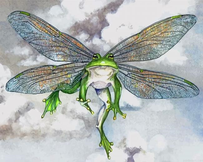 Frog With Wings Painting By Numbers.png
