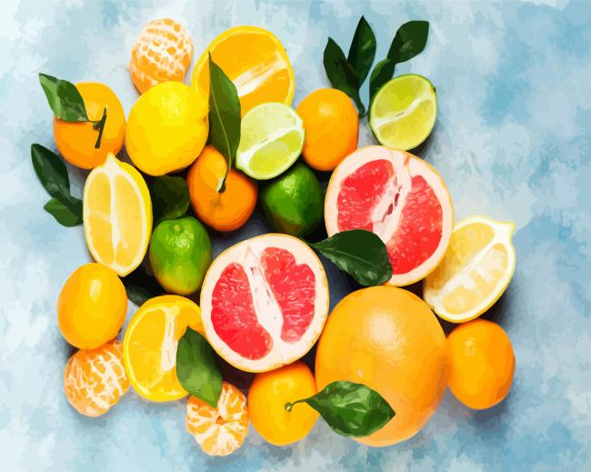 Fruits Citrus Painting By Numberss.png