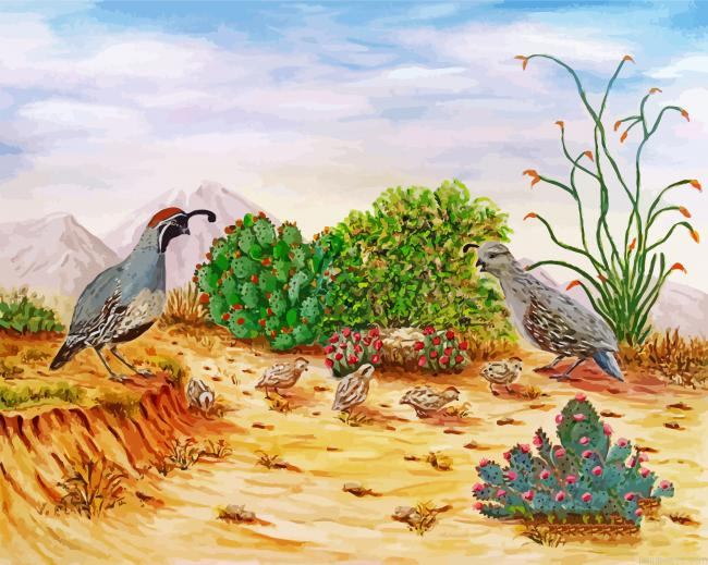 Gambel Birds With Chicks Painting By Numberss.png