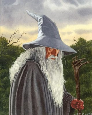 Gandalf Lord Of The Rings Painting By Numbers.png