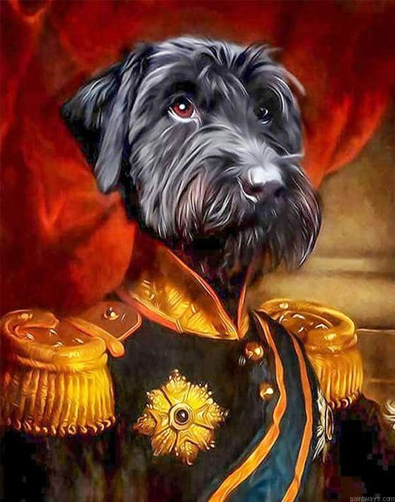 General Schnauzer Painting By Numbers.png