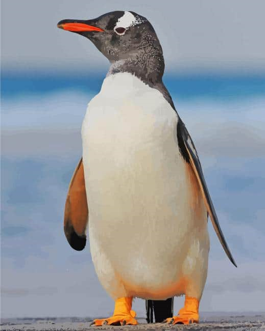 Gentoo Penguin New Painting By Numberss.png
