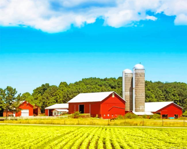 Georgia Farm New Painting By Numberss.png