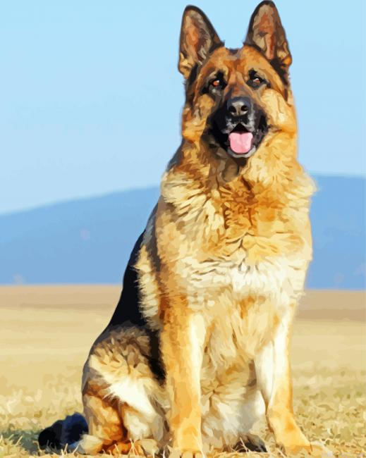 German Shepherds Dog Painting By Numberss.png