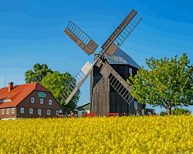 Germany Field Windmill New Painting By Numberss.png