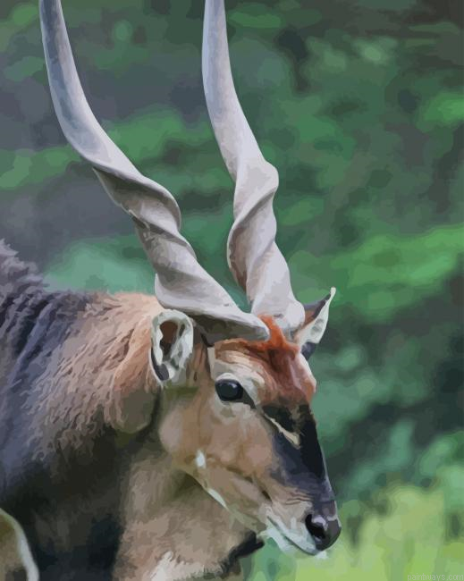 Giant Eland Animal New Painting By Numberss.png