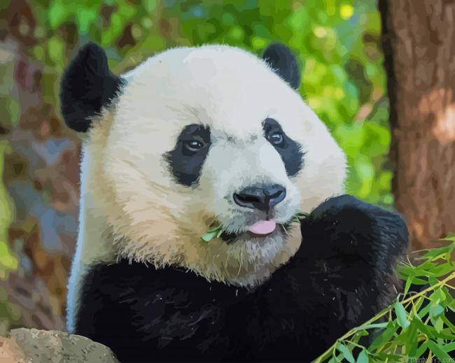 Giant Panda New Painting By Numberss.png