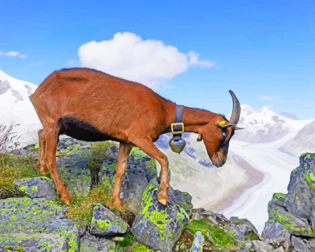 Goat In The Mountain New Painting By Numberss.png