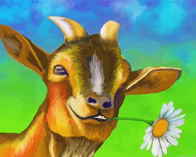 Goat With Flower Painting By Numberss.png