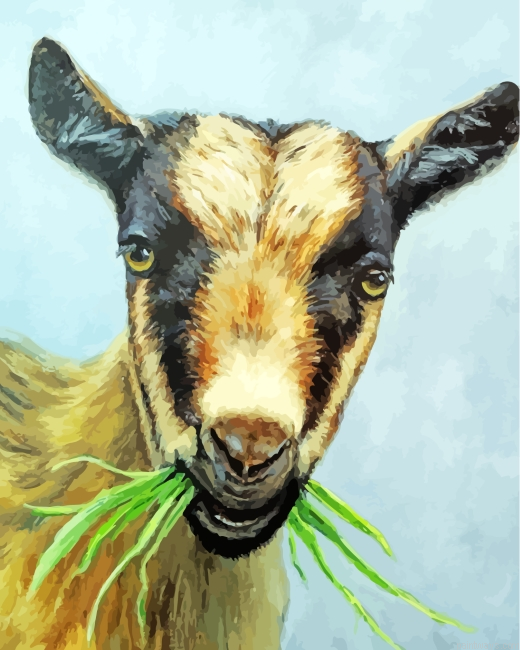 Goat With Grass Painting By Numberss.png