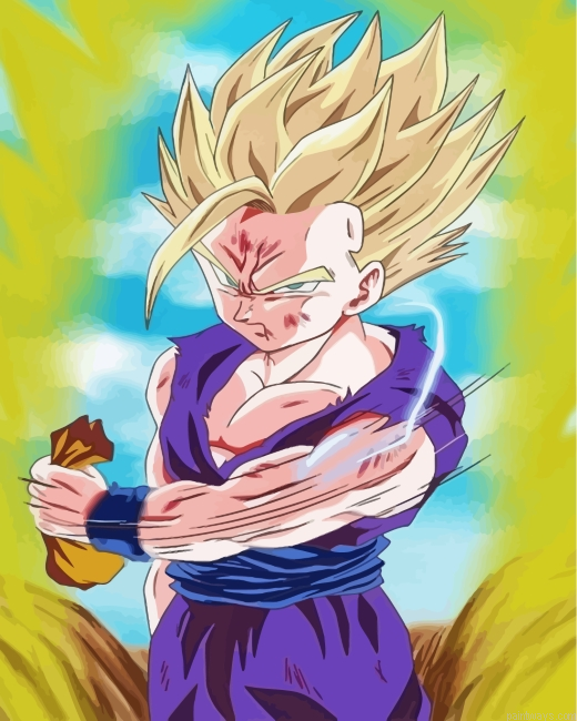 Gohan Dragon Ball Painting By Numbers.png