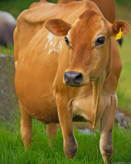Golden Cow New Painting By Numberss.png