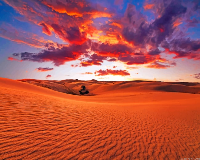 Golden Desert Painting By Numberss.png
