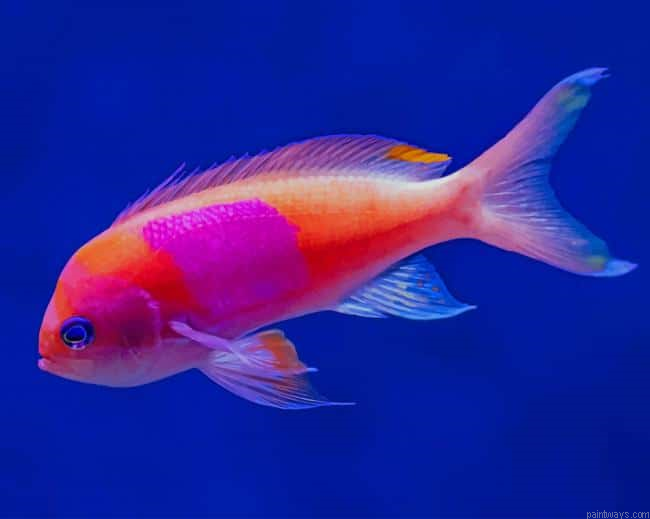 Golden Fish In Ocean Painting By Numberss.png
