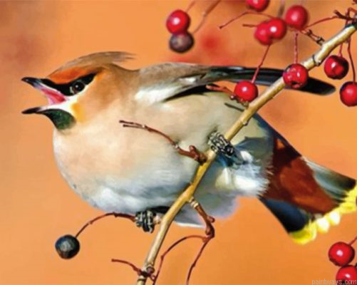 Goldfinch Little Bird Painting By Numbers.png