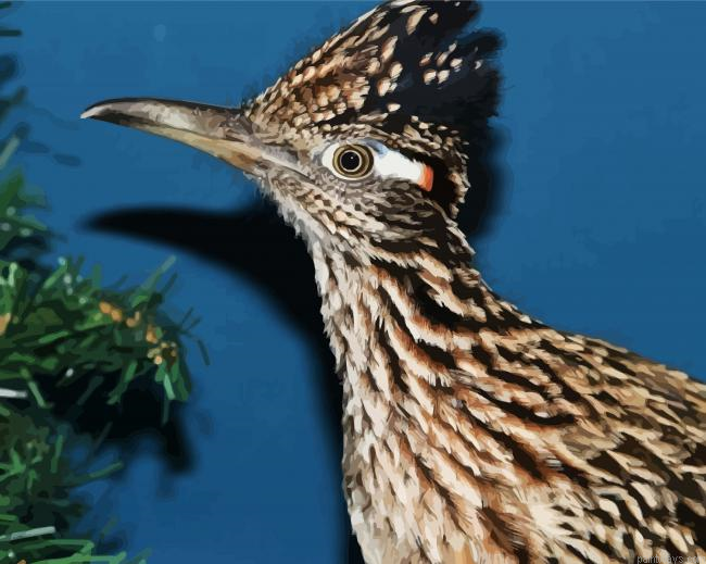Greater Roadrunner Bird Head Painting By Numberss.png