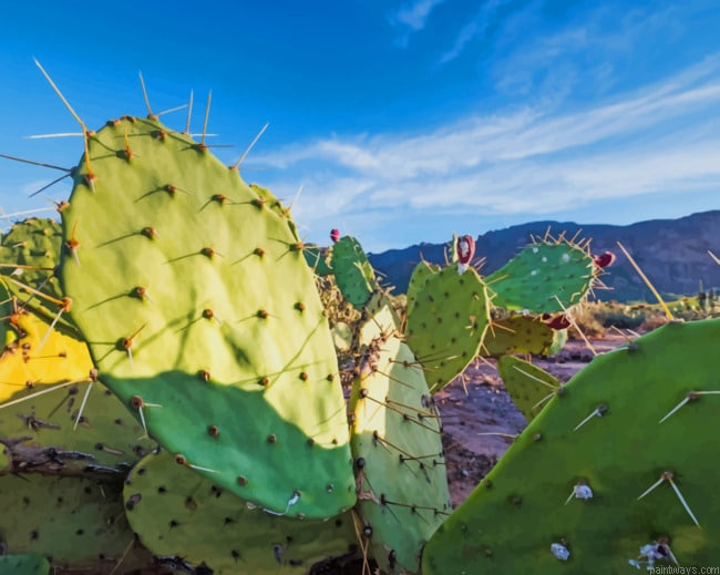 Green Cactus Plants Paint By Numbers.png